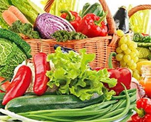 东湖地区农产品配送与餐饮管理咨询公司概览